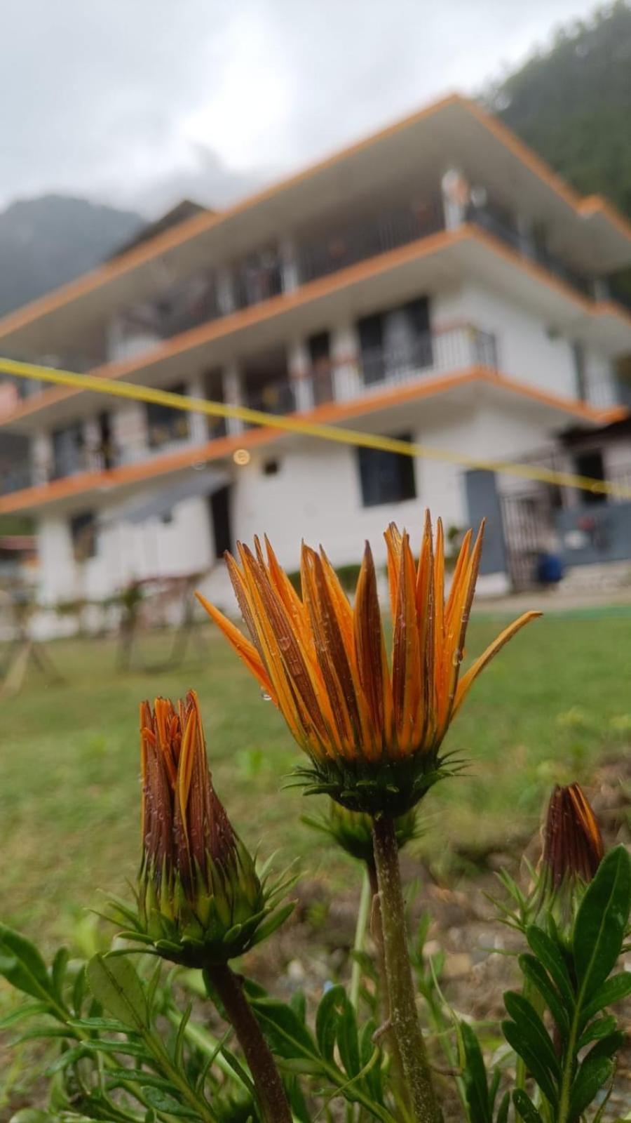 Himtrek Stay Kasol Kültér fotó
