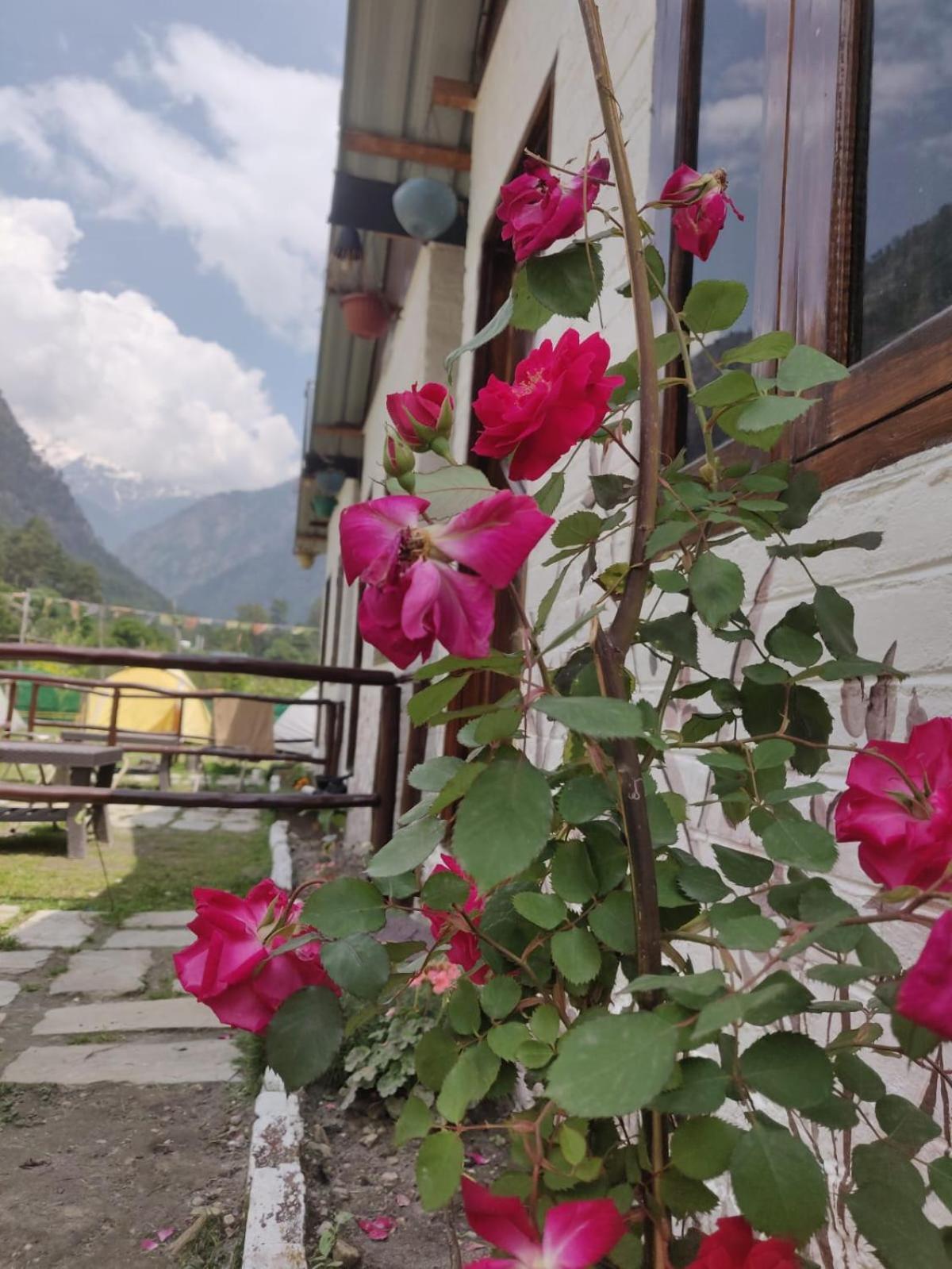 Himtrek Stay Kasol Kültér fotó