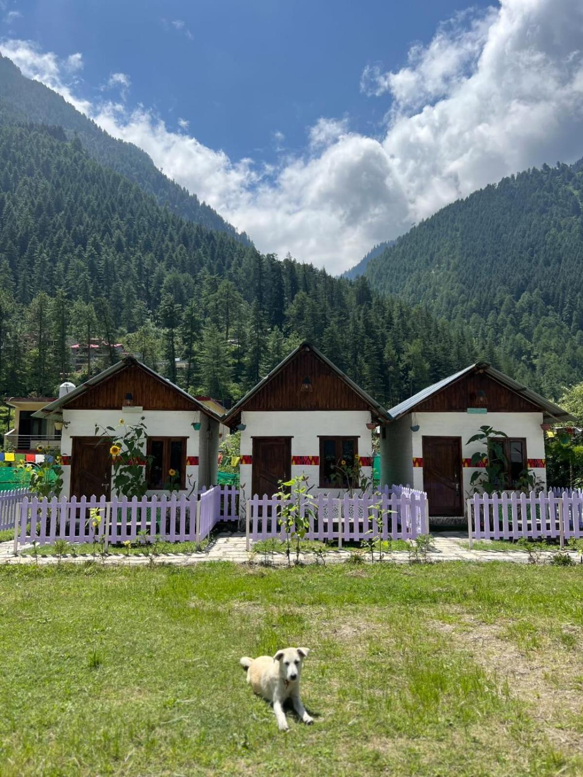 Himtrek Stay Kasol Kültér fotó