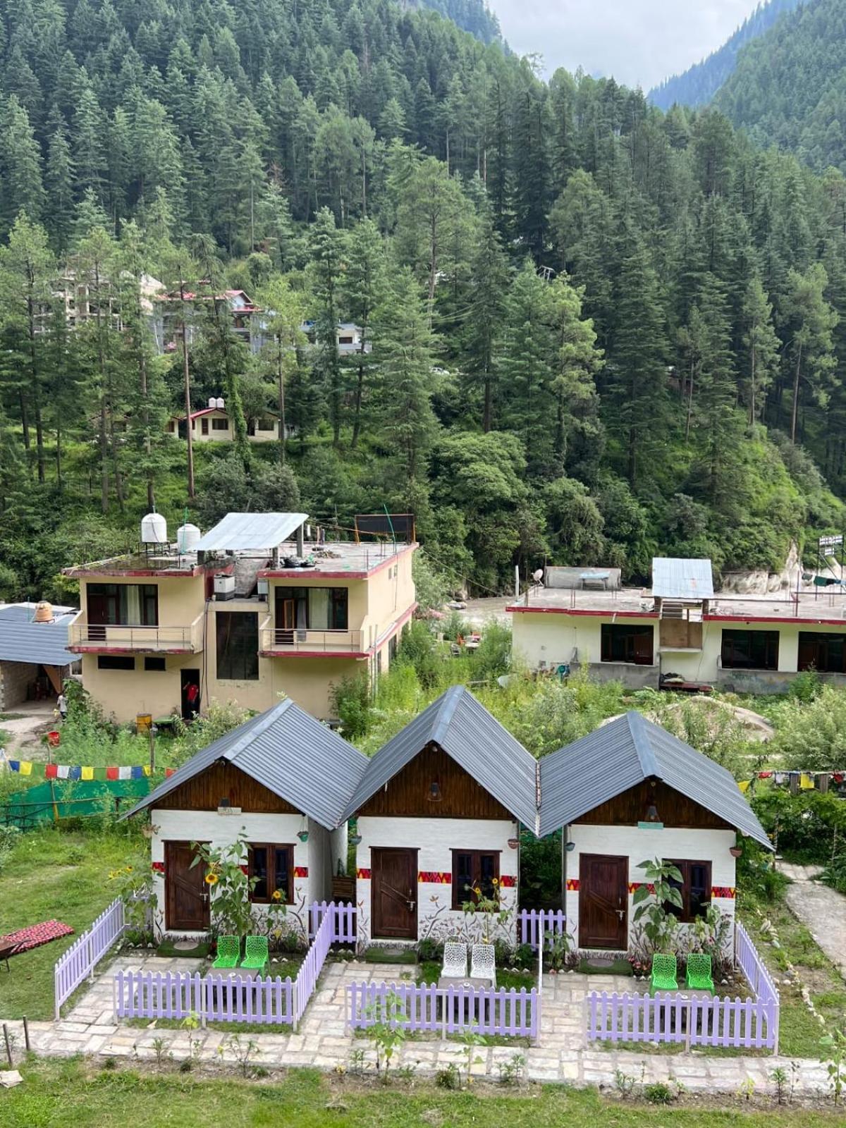Himtrek Stay Kasol Kültér fotó