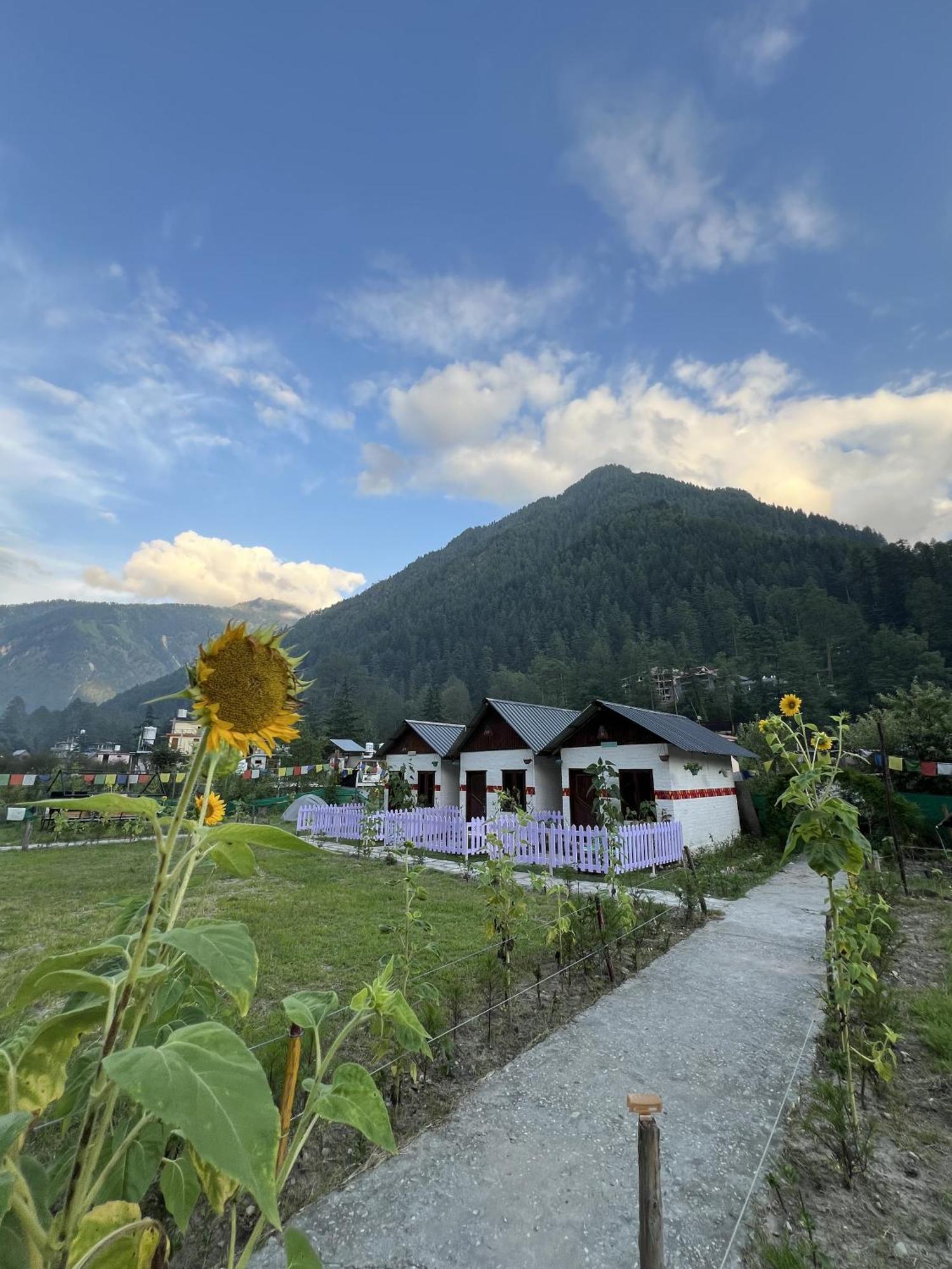Himtrek Stay Kasol Kültér fotó
